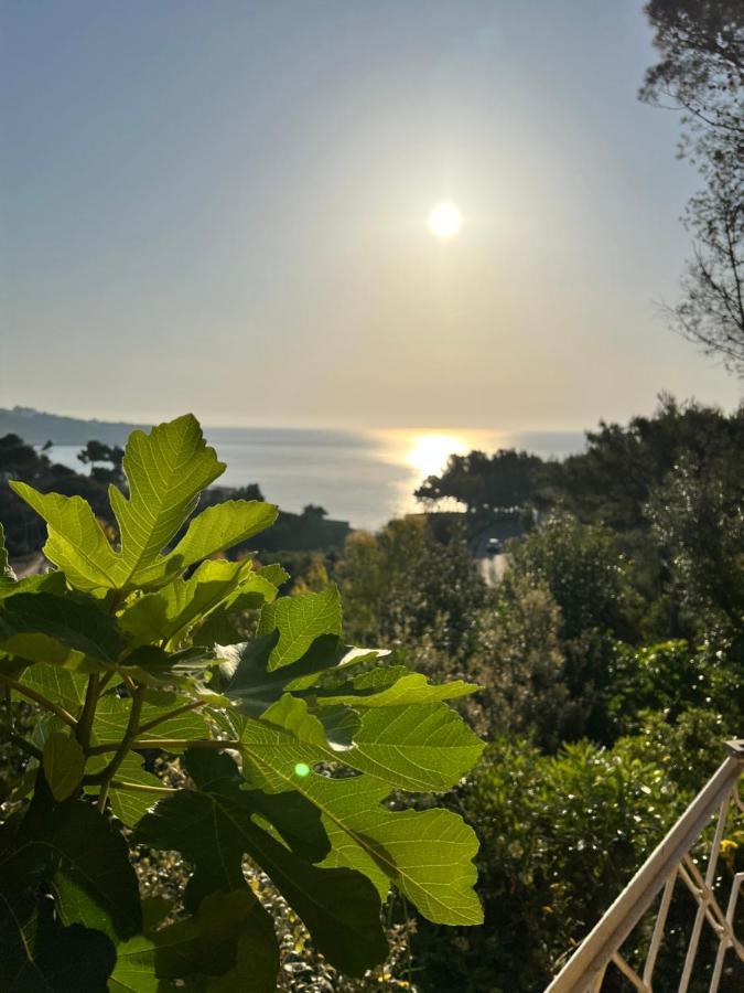 הוילה מריטימה Limonaia In Salento מראה חיצוני תמונה