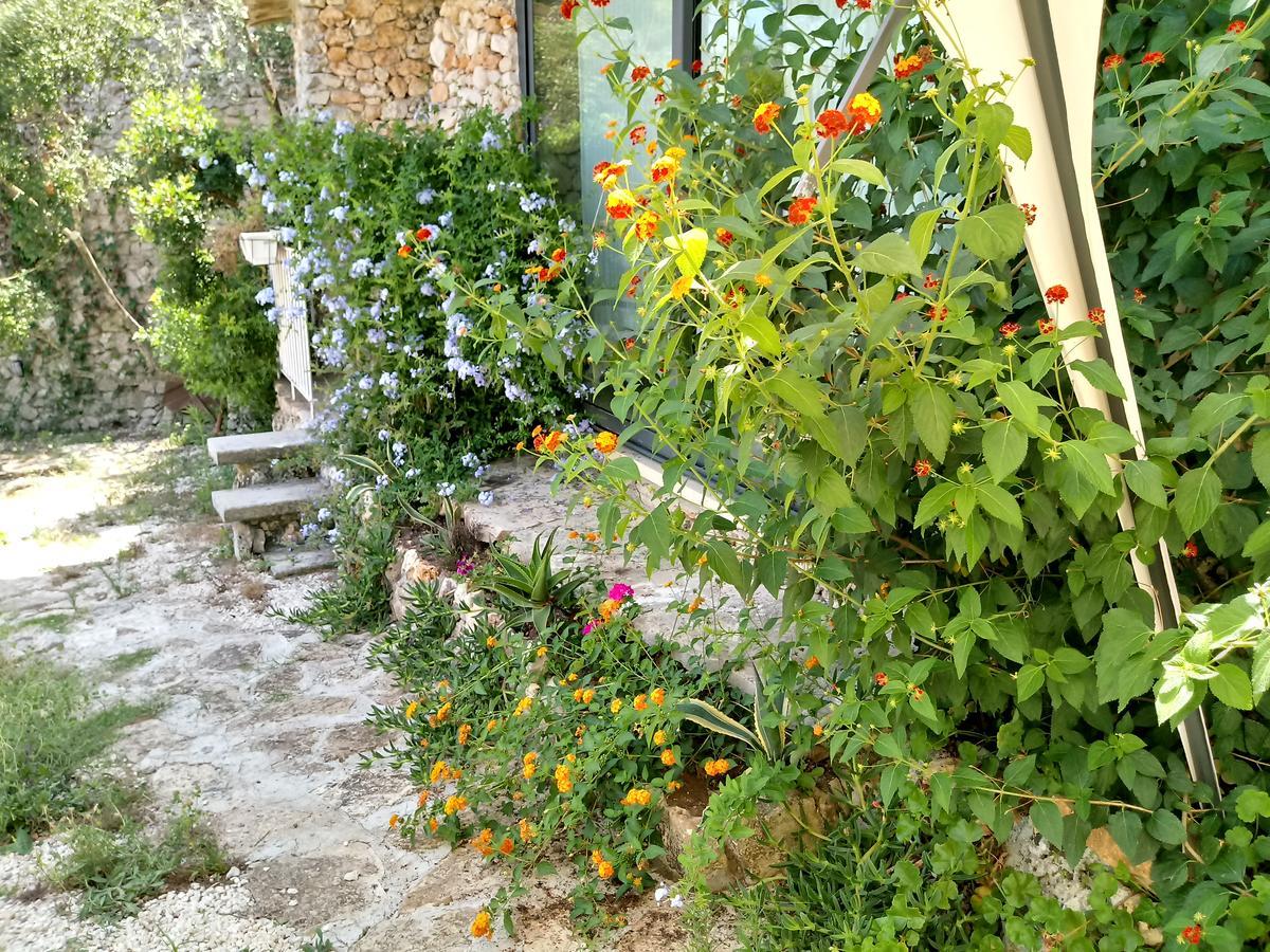 הוילה מריטימה Limonaia In Salento מראה חיצוני תמונה