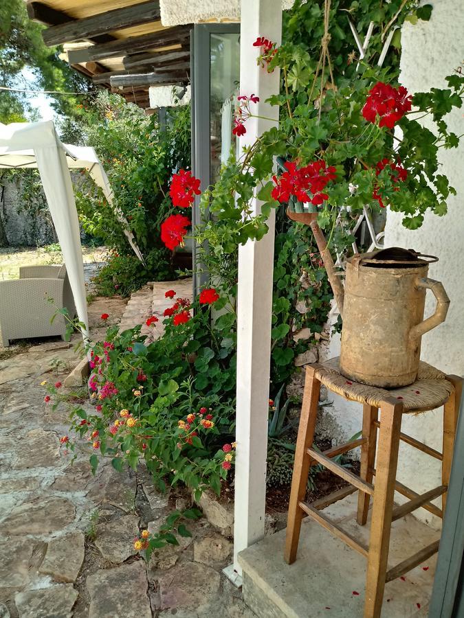הוילה מריטימה Limonaia In Salento מראה חיצוני תמונה