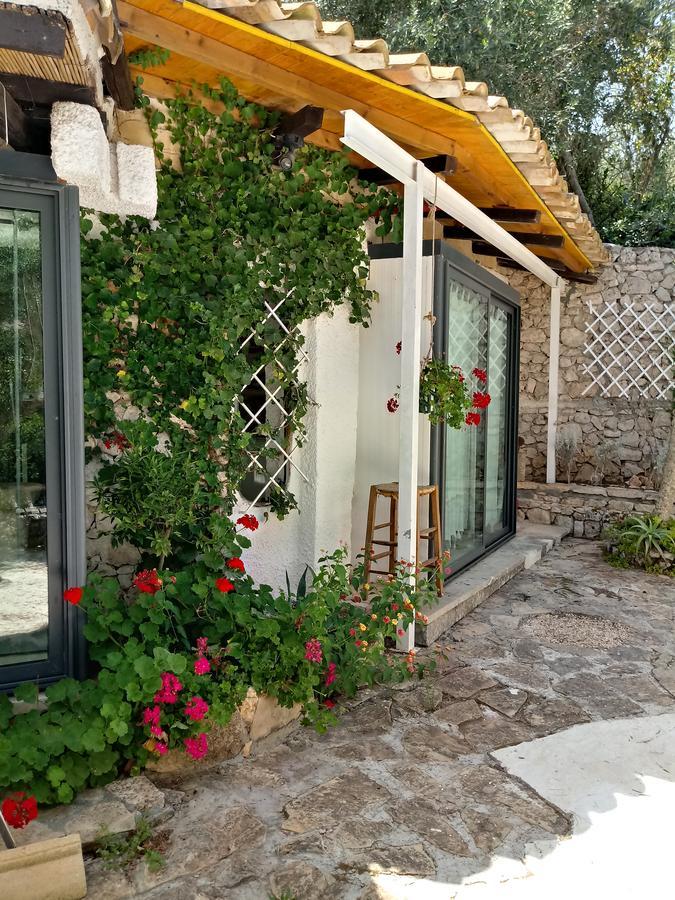 הוילה מריטימה Limonaia In Salento מראה חיצוני תמונה