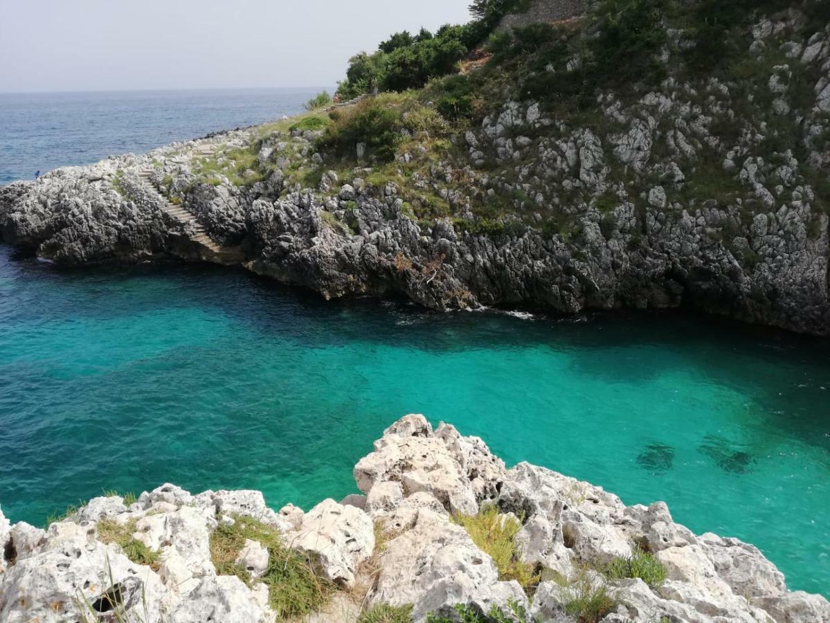 הוילה מריטימה Limonaia In Salento מראה חיצוני תמונה