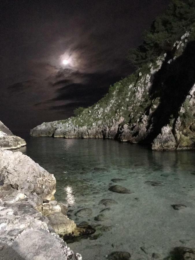 הוילה מריטימה Limonaia In Salento מראה חיצוני תמונה